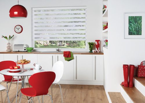 Vision/Z-Lite/Double roller blinds blind style
